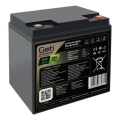 Batería LiFePO4 12,8V/20Ah