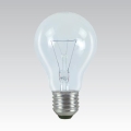 Bombilla industrial especial E27/100W/24V
