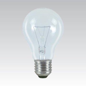 Bombilla industrial especial E27/100W/24V