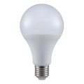 Bombilla LED A80 E27/20W/230V 4000K