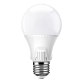 Bombilla LED con sensor de movimiento E27/9W/230V 6500K