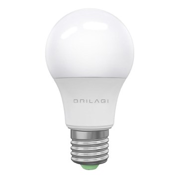 Bombilla LED ECOLINE A60 E27/15W/230V 6500K - Brilagi