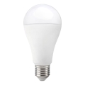 Bombilla LED GS E27/17W/230V 4000K