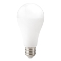 Bombilla LED GS E27/22W/230V 3000K