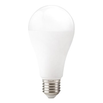 Bombilla LED GS E27/22W/230V 6500K