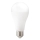 Bombilla LED GS E27/22W/230V 6500K