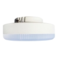 Bombilla LED GX53/7W/230V 4000K - Brilagi