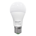 Bombilla LED LEDSTAR ECO A65 E27/18W/230V 4000K