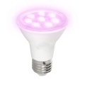 Bombilla LED para crecimiento de plantas PLANTY E27/7W/230V 1200K blanca