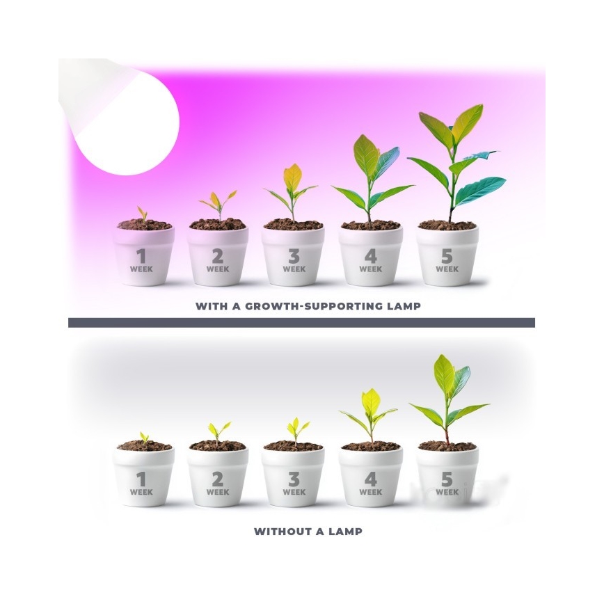 Bombilla LED para crecimiento de plantas PLANTY E27/11W/230V 1200K blanca