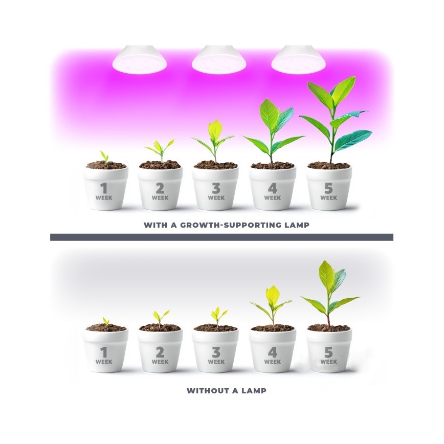 Bombilla LED para crecimiento de plantas PLANTY E27/7W/230V 1200K blanca