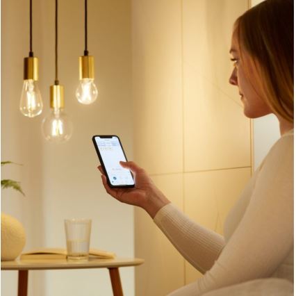 Bombilla LED regulable FILAMENT A60 E27/6,7W/230V 2700-6500K CRI 90 Wi-Fi - WiZ