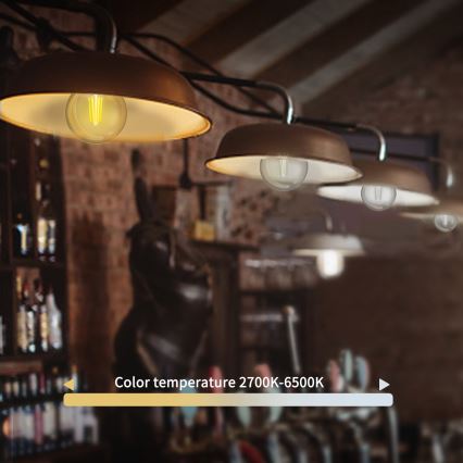 Bombilla LED regulable FILAMENT G45 E14/4,5W/230V 2700-6500K Wi-Fi - Aigostar