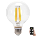 Bombilla LED regulable FILAMENT MESH Inteligente G80 E27/6W/230V 2700-6500K - Aigostar