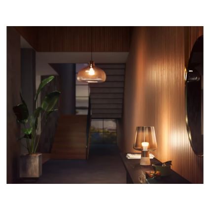Bombilla LED regulable Philips Hue WHITE E27/9,5W/230V 2700K