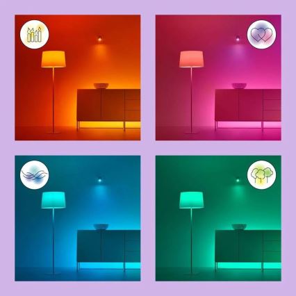 Bombilla LED RGB regulable G95 E27/11W/230V 2200-6500K Wi-Fi - WiZ