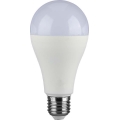 Bombilla LED SAMSUNG CHIP A65 E27/17W/230V 4000K
