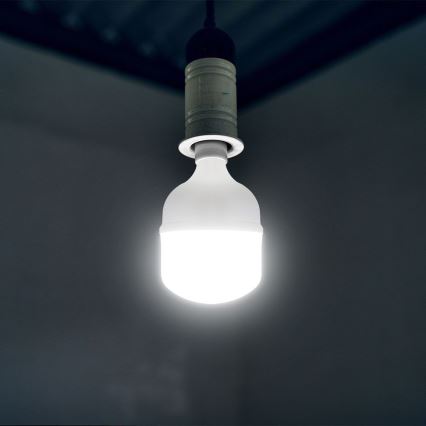 Bombilla LED T100 E27/30W/230V 6500K