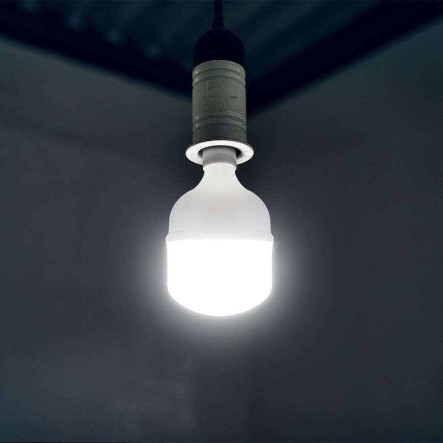 Bombilla LED T100 E27/30W/230V 6500K