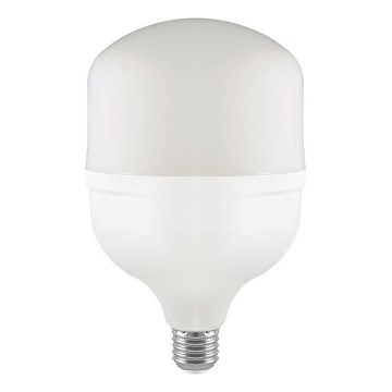 Bombilla LED T160 E27/60W/230V 6500K
