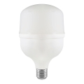Bombilla LED T80 E27/20W/230V 4000K