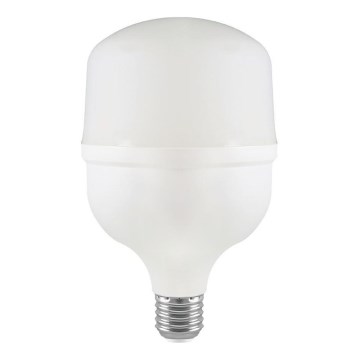 Bombilla LED T80 E27/20W/230V 6500K