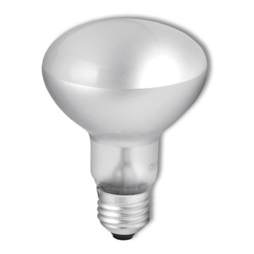 Bombilla reflectora industrial R63 E27/40W/230V 2700K