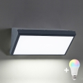 Brilagi - Aplique de pared exterior LED RGBW regulable TRIANGLE 1xE27/9W/230V 2700-6500K IP65 antracita