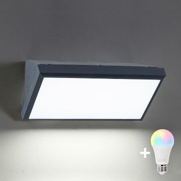 Brilagi - Aplique de pared exterior LED RGBW regulable TRIANGLE 1xE27/9W/230V 2700-6500K IP65 antracita