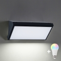 Brilagi - Aplique de pared exterior LED RGBW regulable TRIANGLE 1xE27/9W/230V 2700-6500K IP65 negro