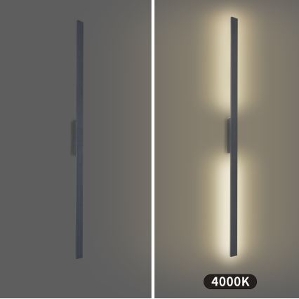 Brilagi - Aplique LED de pared para exterior LUNA LED/30W/230V 4000K IP65 150 cm antracita CRI 90