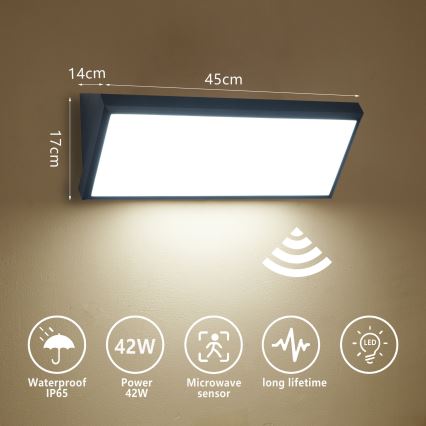 Brilagi - Aplique LED de exterior con sensor TRIANGLE LED/42W/230V 45 cm negro IP65