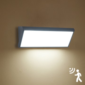 Brilagi - Aplique LED exterior con sensor TRIANGLE LED/42W/230V 45 cm antracita IP65