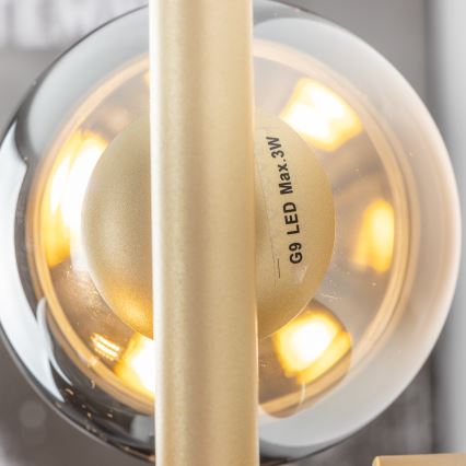 Brilagi - Aplique LED MILLA 3xG9/3W/230V dorado/ahumado