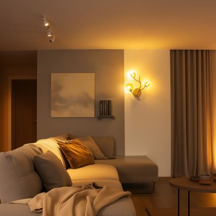 BRILAGI - Aplique LED MISTEL 3xG9/3W/230V dorado