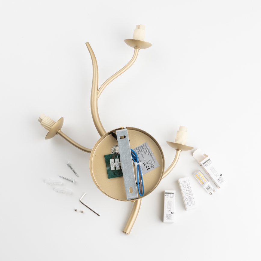 BRILAGI - Aplique LED MISTEL 3xG9/3W/230V dorado