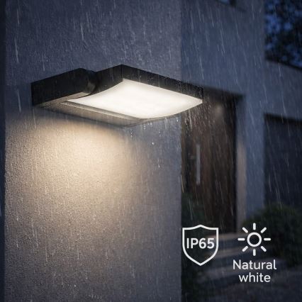 BRILAGI - Aplique LED para exterior ANKLE LED/18W/230V 4000K IP65 antracita