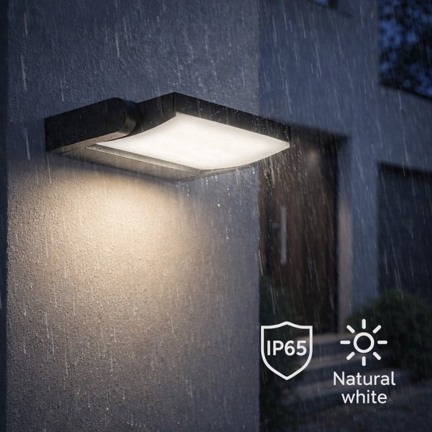 BRILAGI - Aplique LED para exterior ANKLE LED/18W/230V 4000K IP65 antracita