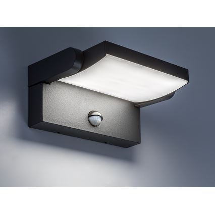 Brilagi - Aplique LED para exterior con sensor ANKLE LED/18W/230V 4000K IP65 antracita