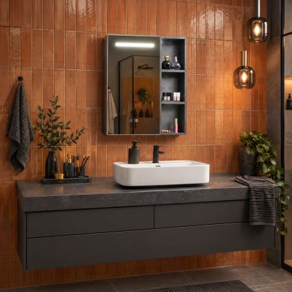 BRILAGI - Armario de baño con espejo e iluminación LED integrada TRABIA SINGLE 60x70 cm