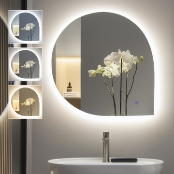Brilagi - Espejo de baño LED RICADI LED/19W/230V 60x60 cm IP44 CRI 90 regulable + CCT