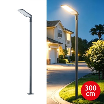 Brilagi - Farola LED de exterior con poste y brazo articulado de 3 m URBANLIGHT LED/100W/230V antracita IP65