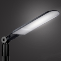 Brilagi - Farola LED para exteriores URBANLIGHT LED/250W/230V negra IP65