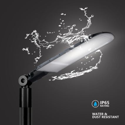 BRILAGI - Farola LED para exteriores URBANLIGHT LED/250W/230V negra IP65