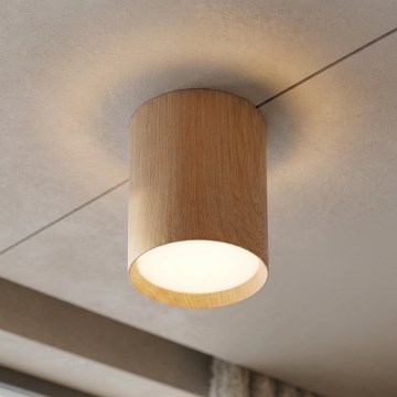 BRILAGI - Foco de techo SMOOTH LONG 1xGX53/15W/230V 100x82 mm acabado en roble