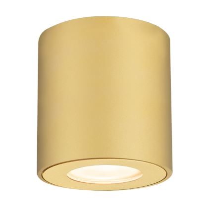 Brilagi - Foco empotrable para baño MIA 1xGU10/30W/230V 84x80 mm acabado dorado IP54