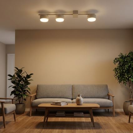 BRILAGI - Foco LED MONO 3xGX53/30W/230V beige