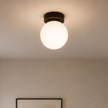 BRILAGI - Foco MILO 1xE27/60W/230V negro