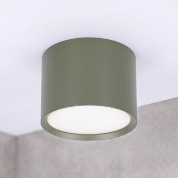 BRILAGI - Foco SMOOTH 1xGX53/15W/230V 60x82 mm verde oscuro