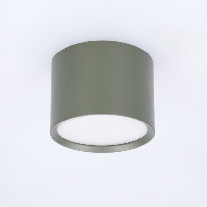 BRILAGI - Foco SMOOTH 1xGX53/15W/230V 60x82 mm verde oscuro